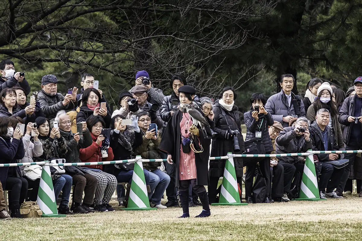 🌳 하마리큐 은사 정원(하마리큐 온시 테이엔) 이미지 9